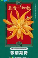 兰香如故电视剧免费完整版全集在线
